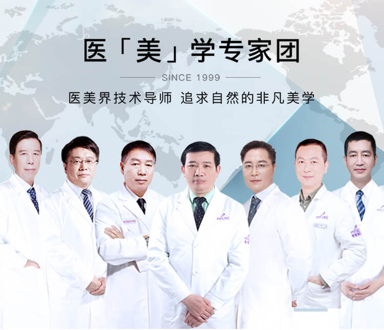 美莱专家团
